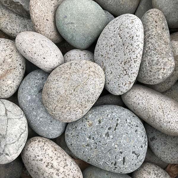 Storen Opgetild escort Beach Pebbles Grijs | Stenen en Tegels